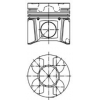 Поршня 2.5dTi dCi 01-