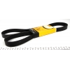 Ремень генератора 1.9dTi dCi 01-  Master