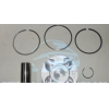Поршень двигателя 89mm компл. 2.5CDTI 16V G9U 06-