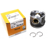 Поршень VW T5 2.5TDI (81.00mm STD) (1-2 цилиндр)