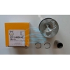 Поршня 1.9TDI 79.51mm STD (1,2 сyl.) (87 72162)