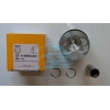 Поршня 1.9TDI 79.51mm STD (3,4сyl.) (87 72163)