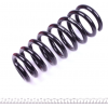 Комплект пружин (передних) (Pro-Kit) BMW X6 (E71 E72) 07-14 (2 шт.)